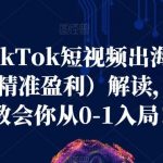 海外TikTok短视频出海启航营(学习精准盈利)解读,手把手教会你从0-1入局!-我创创业-副业网-网络创业-资源分享-网课资源-学习教程-学知识-自媒体-抖音-视频号-小红书-网络项目,赚钱软件,副业,兼职,学生赚,挂机赚-我创创业-副业网-5ccy.cn