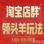 九栢米-淘宝店群领头羊玩法,教你整个淘宝店群领头羊玩法以及精细化/终极蓝海/尾销等内容-我创创业-副业网-网络创业-资源分享-网课资源-学习教程-学知识-自媒体-抖音-视频号-小红书-网络项目,赚钱软件,副业,兼职,学生赚,挂机赚-我创创业-副业网-5ccy.cn