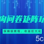 保姆级教程,国内问卷矩阵玩法,轻松赚收益-我创创业-副业网-网络创业-资源分享-网课资源-学习教程-学知识-自媒体-抖音-视频号-小红书-网络项目,赚钱软件,副业,兼职,学生赚,挂机赚-我创创业-副业网-5ccy.cn