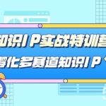 知识IP实战特训营,孵化多赛道知识IP(33节课)-我创创业-副业网-网络创业-资源分享-网课资源-学习教程-学知识-自媒体-抖音-视频号-小红书-网络项目,赚钱软件,副业,兼职,学生赚,挂机赚-我创创业-副业网-5ccy.cn