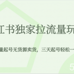 小红书独家拉流量玩法,纯自然流量起号无货源卖货,三天起号轻松一天上百单-我创创业-副业网-网络创业-资源分享-网课资源-学习教程-学知识-自媒体-抖音-视频号-小红书-网络项目,赚钱软件,副业,兼职,学生赚,挂机赚-我创创业-副业网-5ccy.cn
