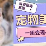 抖音蓝海赛道，宠物美容，一周变现4000-我创创业-副业网-网络创业-资源分享-网课资源-学习教程-学知识-自媒体-抖音-视频号-小红书-网络项目,赚钱软件,副业,兼职,学生赚,挂机赚-我创创业-副业网-5ccy.cn