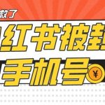 【首发解封】小红书被封号禁言账号手机换绑-我创创业-副业网-网络创业-资源分享-网课资源-学习教程-学知识-自媒体-抖音-视频号-小红书-网络项目,赚钱软件,副业,兼职,学生赚,挂机赚-我创创业-副业网-5ccy.cn