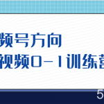 视频号方向，短视频0-1训练营（10节直播课程）-我创创业-副业网-网络创业-资源分享-网课资源-学习教程-学知识-自媒体-抖音-视频号-小红书-网络项目,赚钱软件,副业,兼职,学生赚,挂机赚-我创创业-副业网-5ccy.cn