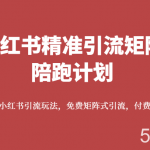 小红书精准引流矩阵陪跑计划,系统学习小红书引流玩法,免费矩阵式引流,付费投流广告-我创创业-副业网-网络创业-资源分享-网课资源-学习教程-学知识-自媒体-抖音-视频号-小红书-网络项目,赚钱软件,副业,兼职,学生赚,挂机赚-我创创业-副业网-5ccy.cn