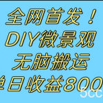 全网首发冷门赛道!DIY微景观,无脑搬运视频,日收益800-我创创业-副业网-网络创业-资源分享-网课资源-学习教程-学知识-自媒体-抖音-视频号-小红书-网络项目,赚钱软件,副业,兼职,学生赚,挂机赚-我创创业-副业网-5ccy.cn