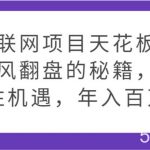 互联网项目天花板，逆风翻盘的秘籍，抓住机遇，年入百万-我创创业-副业网-网络创业-资源分享-网课资源-学习教程-学知识-自媒体-抖音-视频号-小红书-网络项目,赚钱软件,副业,兼职,学生赚,挂机赚-我创创业-副业网-5ccy.cn