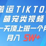 一键搬运TIKTOK萌宠类视频，一部手机即可操作，所有平台均可发布 轻松月入5W+-我创创业-副业网-网络创业-资源分享-网课资源-学习教程-学知识-自媒体-抖音-视频号-小红书-网络项目,赚钱软件,副业,兼职,学生赚,挂机赚-我创创业-副业网-5ccy.cn