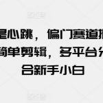 玩的就是心跳，偏门赛道掘金，视频搬运简单剪辑，多平台分发，适合新手小白【揭秘】-我创创业-副业网-网络创业-资源分享-网课资源-学习教程-学知识-自媒体-抖音-视频号-小红书-网络项目,赚钱软件,副业,兼职,学生赚,挂机赚-我创创业-副业网-5ccy.cn