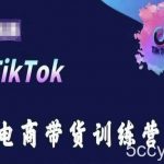 TikTok电商带货训练营,跟随时代潮流,跨境掘金-我创创业-副业网-网络创业-资源分享-网课资源-学习教程-学知识-自媒体-抖音-视频号-小红书-网络项目,赚钱软件,副业,兼职,学生赚,挂机赚-我创创业-副业网-5ccy.cn