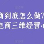 电商到底怎么做？淘系电商三维经营心法-我创创业-副业网-网络创业-资源分享-网课资源-学习教程-学知识-自媒体-抖音-视频号-小红书-网络项目,赚钱软件,副业,兼职,学生赚,挂机赚-我创创业-副业网-5ccy.cn