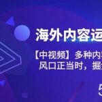 （10833期）海外内容 运营课【中视频】多种内容运营玩法 风口正当时 掘金好时机-101节-我创创业-副业网-网络创业-资源分享-网课资源-学习教程-学知识-自媒体-抖音-视频号-小红书-网络项目,赚钱软件,副业,兼职,学生赚,挂机赚-我创创业-副业网-5ccy.cn
