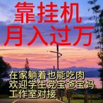 (10838期)靠挂机,日入1000+,躺着也能吃肉,适合宝爸宝妈学生党工作室,电脑手…-我创创业-副业网-网络创业-资源分享-网课资源-学习教程-学知识-自媒体-抖音-视频号-小红书-网络项目,赚钱软件,副业,兼职,学生赚,挂机赚-我创创业-副业网-5ccy.cn