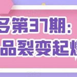 拼多多第37期:拼多多单品裂变起爆2.0-我创创业-副业网-网络创业-资源分享-网课资源-学习教程-学知识-自媒体-抖音-视频号-小红书-网络项目,赚钱软件,副业,兼职,学生赚,挂机赚-我创创业-副业网-5ccy.cn