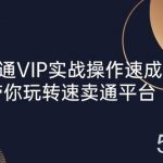 （10935期）速卖通 VIP实战操作-速成班，带你玩转速卖通平台（23节）-我创创业-副业网-网络创业-资源分享-网课资源-学习教程-学知识-自媒体-抖音-视频号-小红书-网络项目,赚钱软件,副业,兼职,学生赚,挂机赚-我创创业-副业网-5ccy.cn